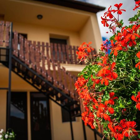 Monika Vendeghaz Hotel Morahalom Bagian luar foto