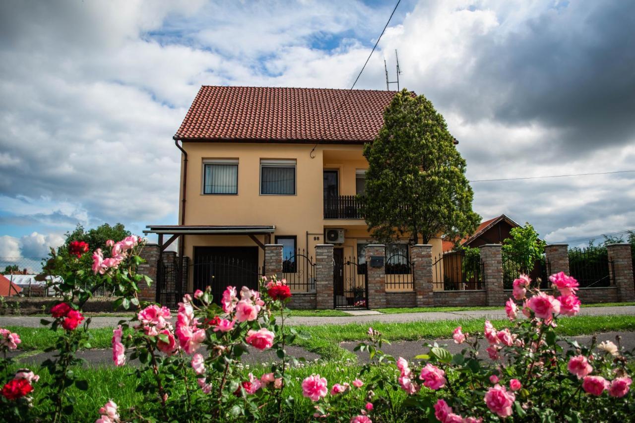 Monika Vendeghaz Hotel Morahalom Bagian luar foto